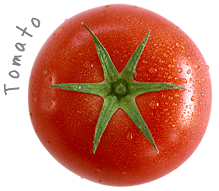 TOMATO